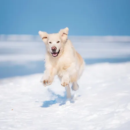 Myhome Ruegen - Haus Johanneshorst