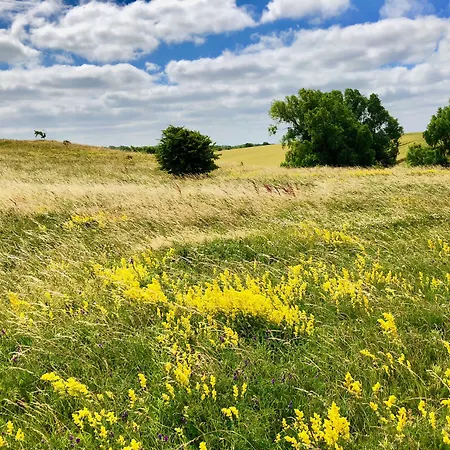 Myhome Ruegen - Haus Johanneshorst Апарт-отель