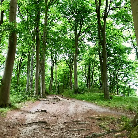 Myhome Ruegen - Haus Johanneshorst 4* Sellin