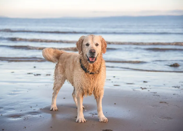 Apartahotel Myhome Ruegen - Haus Johanneshorst Sellin (Rugen)