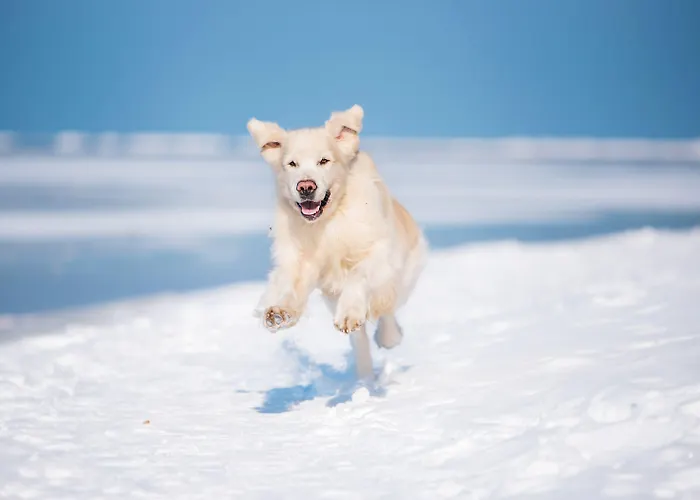 Myhome Ruegen - Haus Johanneshorst