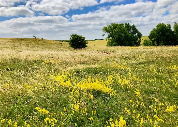 Myhome Ruegen - Haus Johanneshorst Апарт-отель