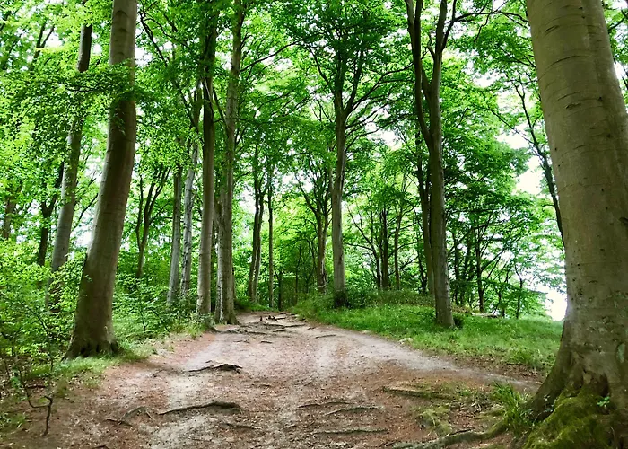 Myhome Ruegen - Haus Johanneshorst 4* Зеллин